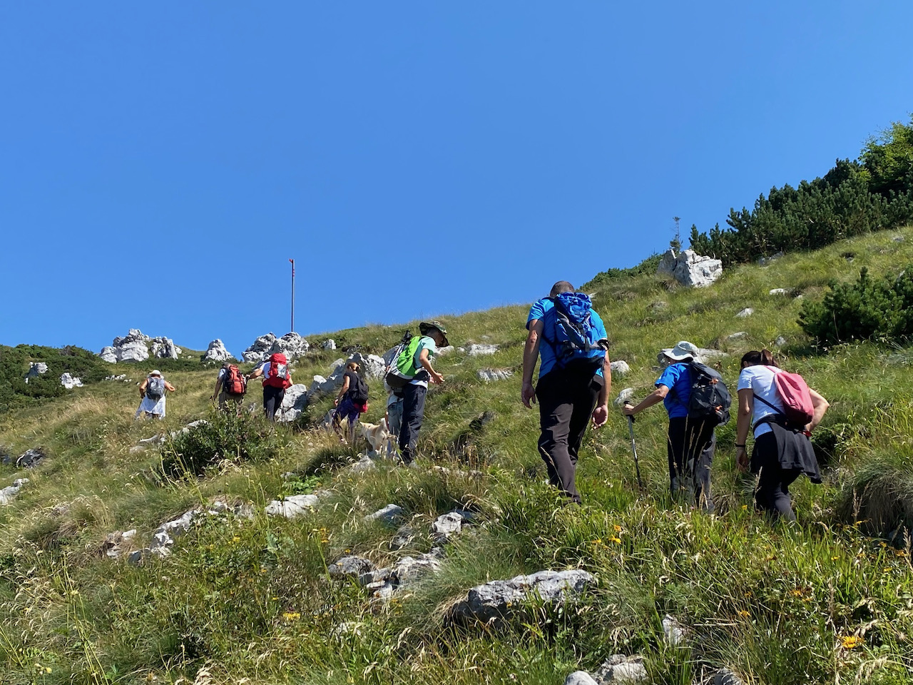 zeleno plavi vikend festival sportske rekreacije (8)