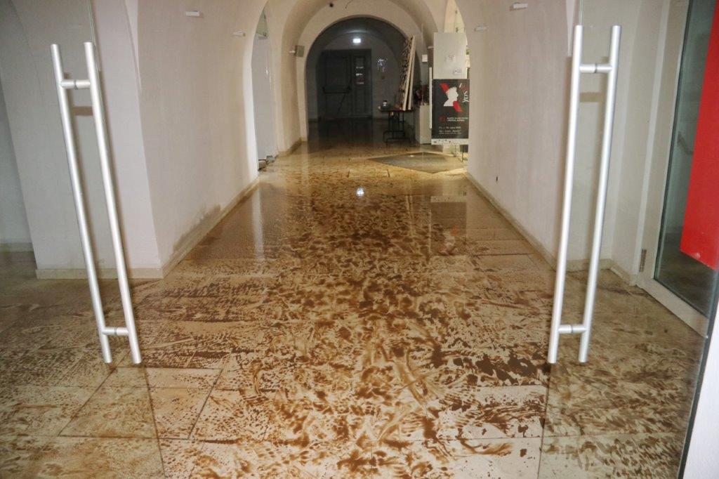 Obilazak-Art-kvarta-u-Benčiću-nakon-velike-poplave-i-kiše_2909-18