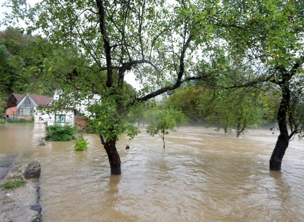 Obilna kiša izazvala je podizanje vodostaja rijeke Kupe i njenih pritoka koji su poplavili prometnice, kuće i vrtove