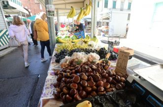 Rijeka: Prvi ovogodišnji maruni stigli su na tržnicu Rijeka: Prvi ovogodišnji maruni stigli su na tržnicu