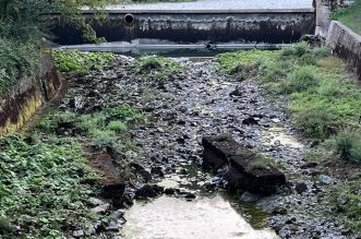 Rječina bez vode 060922 13 Rječina bez vode 060922 13