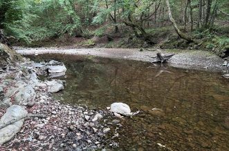 Rječina bez vode 060922 15 Rječina bez vode 060922 15