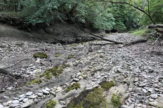 Rječina bez vode 060922 16 Rječina bez vode 060922 16