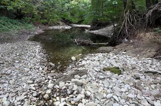 Rječina bez vode 060922 17 Rječina bez vode 060922 17