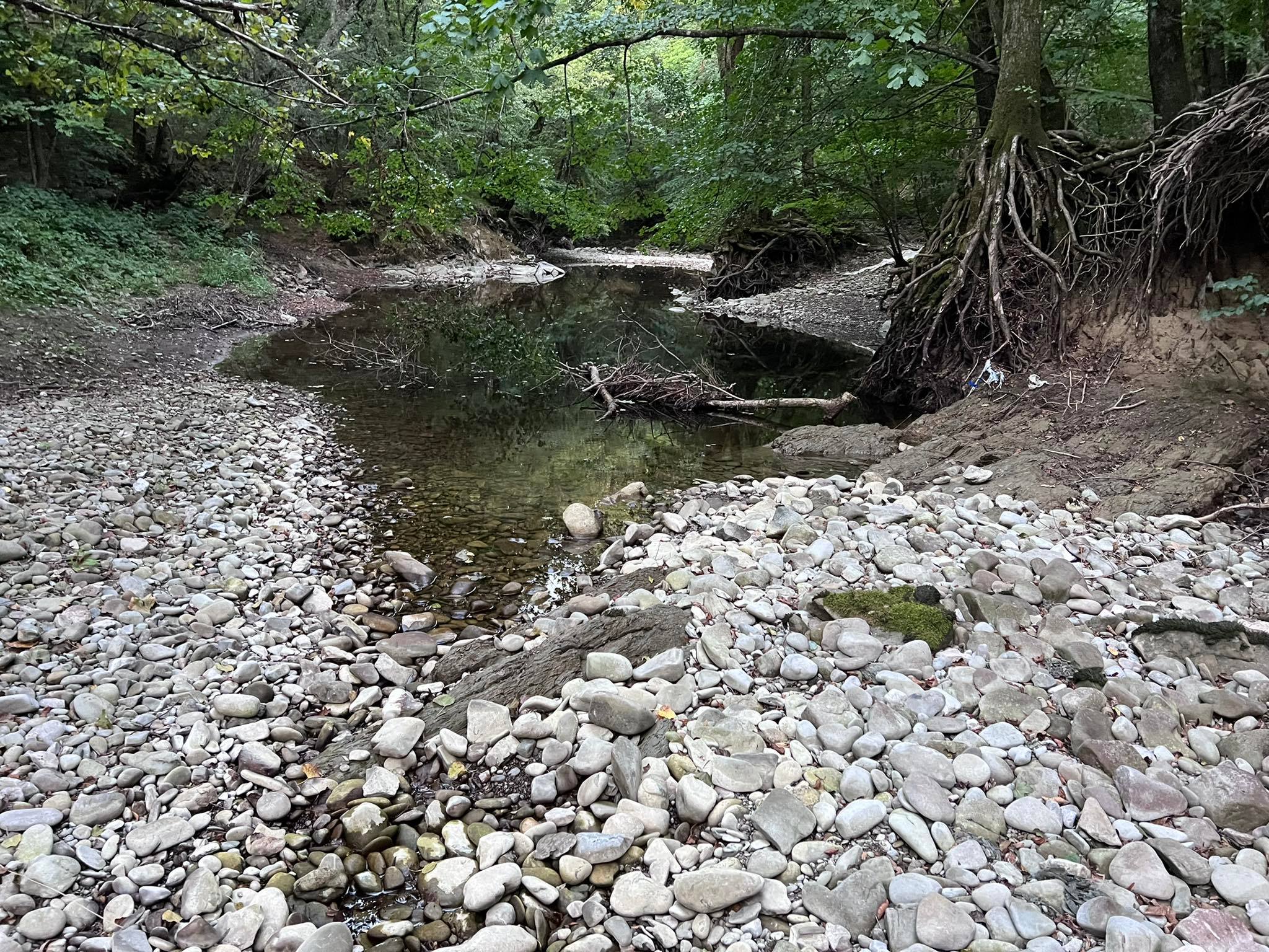 Rječina bez vode 060922 17 Rječina bez vode 060922 17