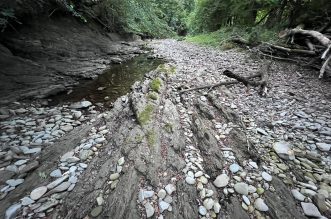Rječina bez vode 060922 18 Rječina bez vode 060922 18
