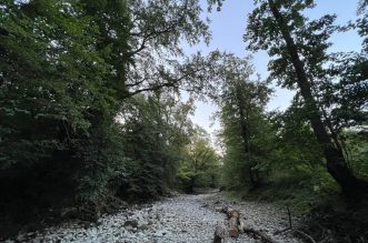 Rječina bez vode 060922 19 Rječina bez vode 060922 19