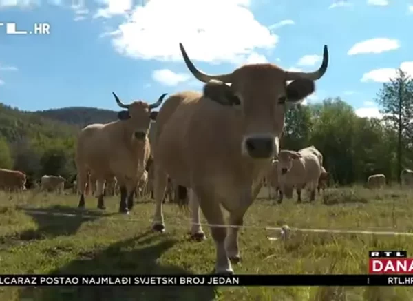 gorani suša rtl