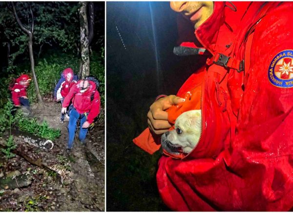 hgss rječina psić naslovna