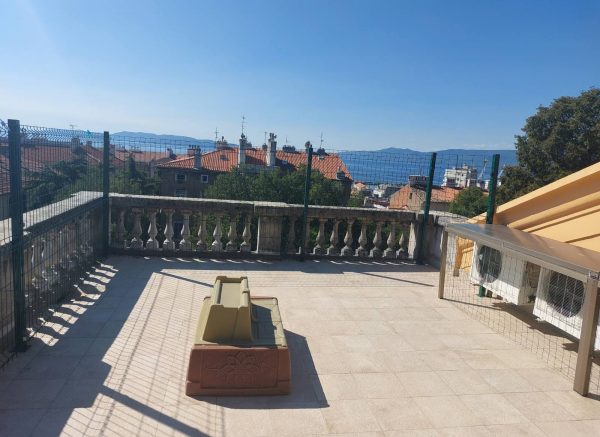 jaslice sandra krpan 19