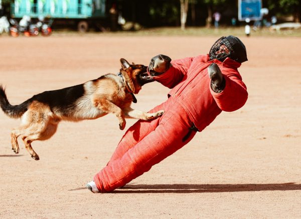 pexels-manu-mangalassery-5095300