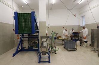 pgz ravna gora (6) pgz ravna gora (6)