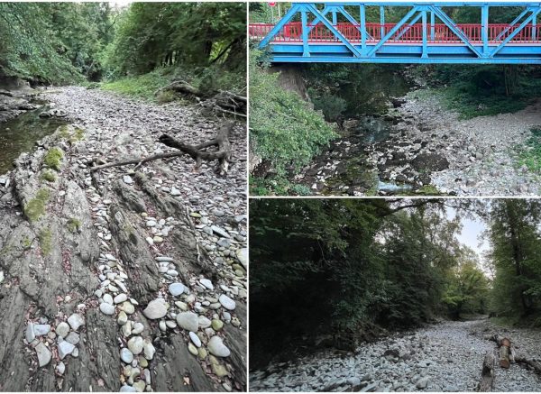 rječina bez vode naslovna rječina bez vode naslovna