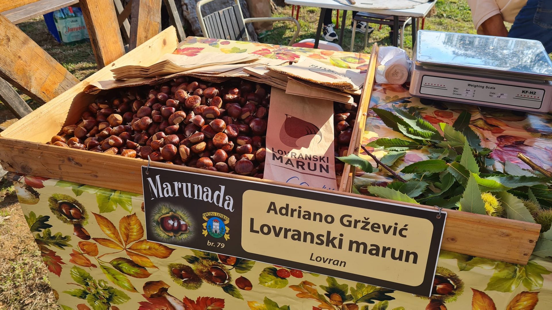 MARUNADA DOBREĆ 2022 GRAD OPATIJA FEJS55 MARUNADA DOBREĆ 2022 GRAD OPATIJA FEJS55