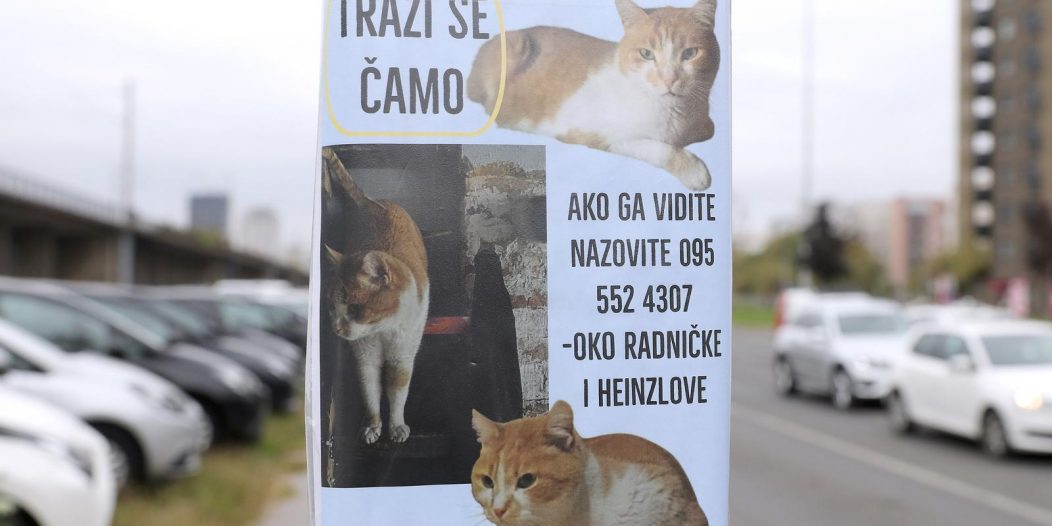 Zagreb: Trai se ma?ak ?amo Zagreb: Trai se ma?ak ?amo