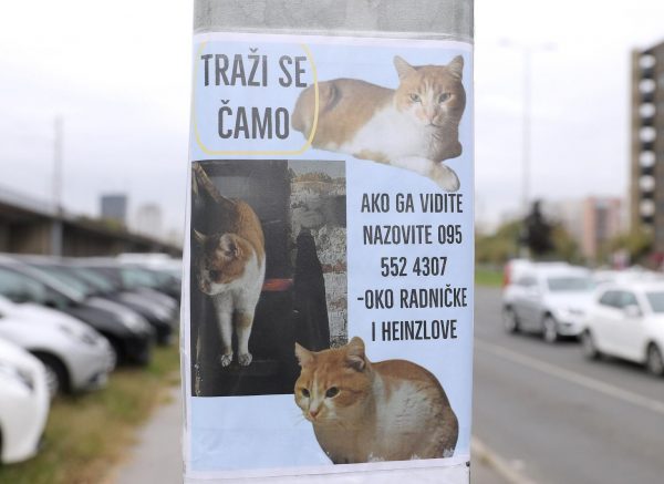 Zagreb: Trai se ma?ak ?amo