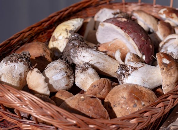 Gospić: 24. izdanje tradicionalnog sajma Jesen u Lici