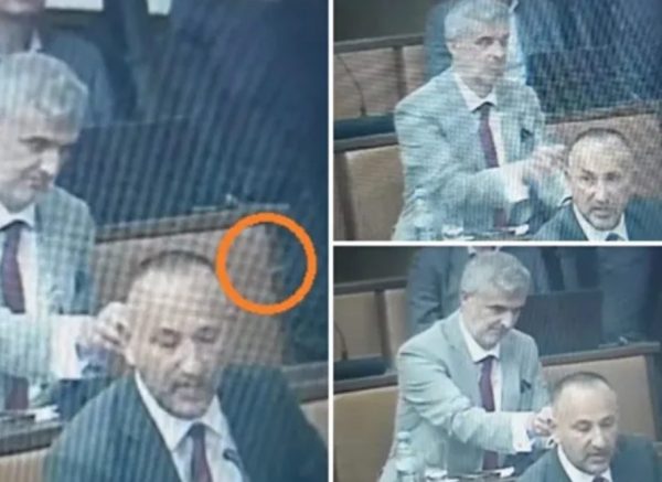 raspudić zekanović sabor