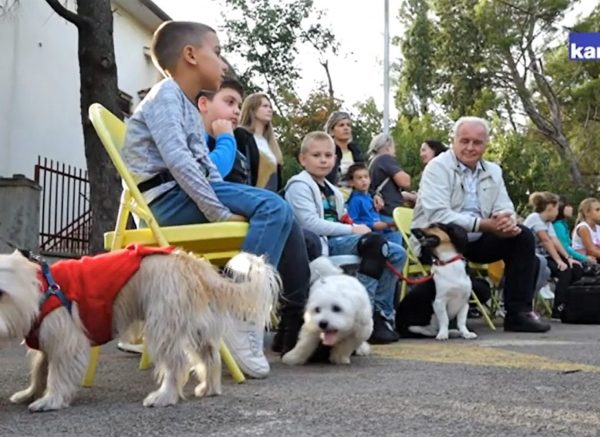 vežica škola izložba kućni ljubimci kanal ri