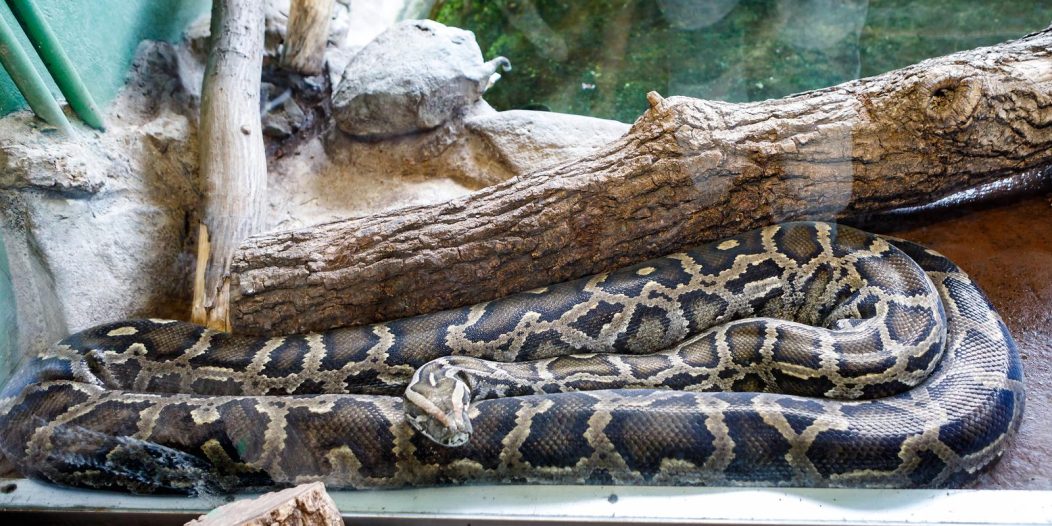 Naj životinje zagrebačkog Zoološkog vrta Naj životinje zagrebačkog Zoološkog vrta