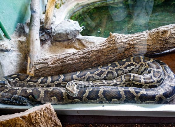 Naj životinje zagrebačkog Zoološkog vrta