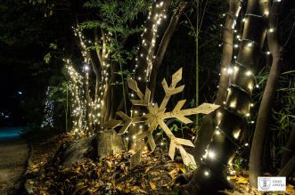 lampice_park05 lampice_park05