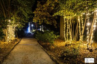 lampice_park11 lampice_park11