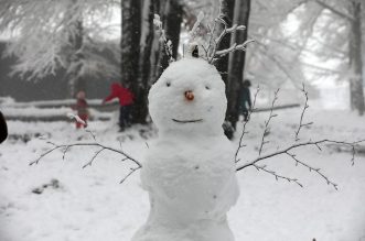Snježni advent u Delnicama Snježni advent u Delnicama