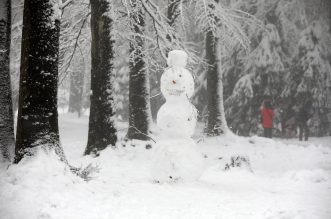 Snježni advent u Delnicama Snježni advent u Delnicama