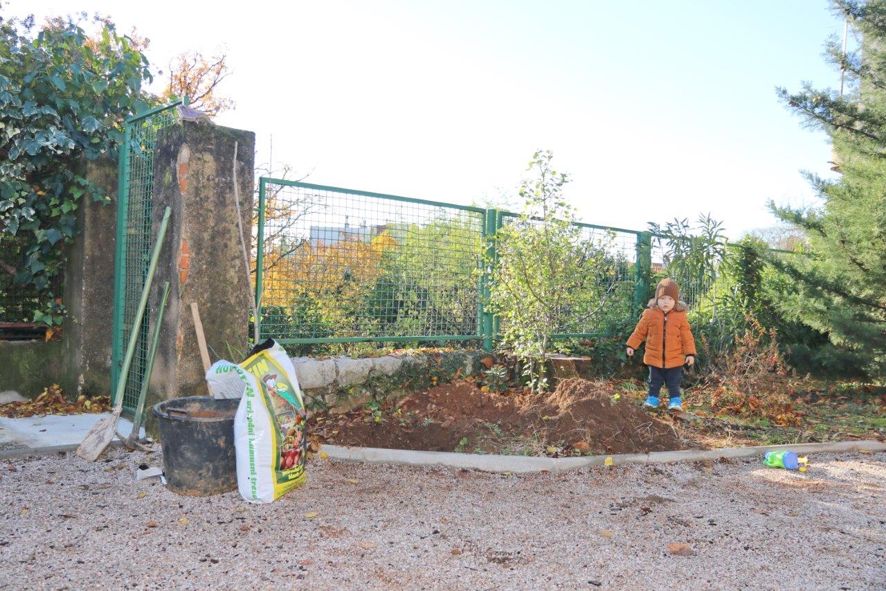 Zasadi-drvo-ne-budi-panj_sadnja-stabala-u-DV-Baredice-11 Zasadi-drvo-ne-budi-panj_sadnja-stabala-u-DV-Baredice-11