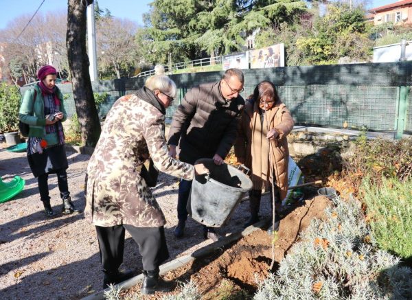 Zasadi-drvo-ne-budi-panj_sadnja-stabala-u-DV-Baredice-8