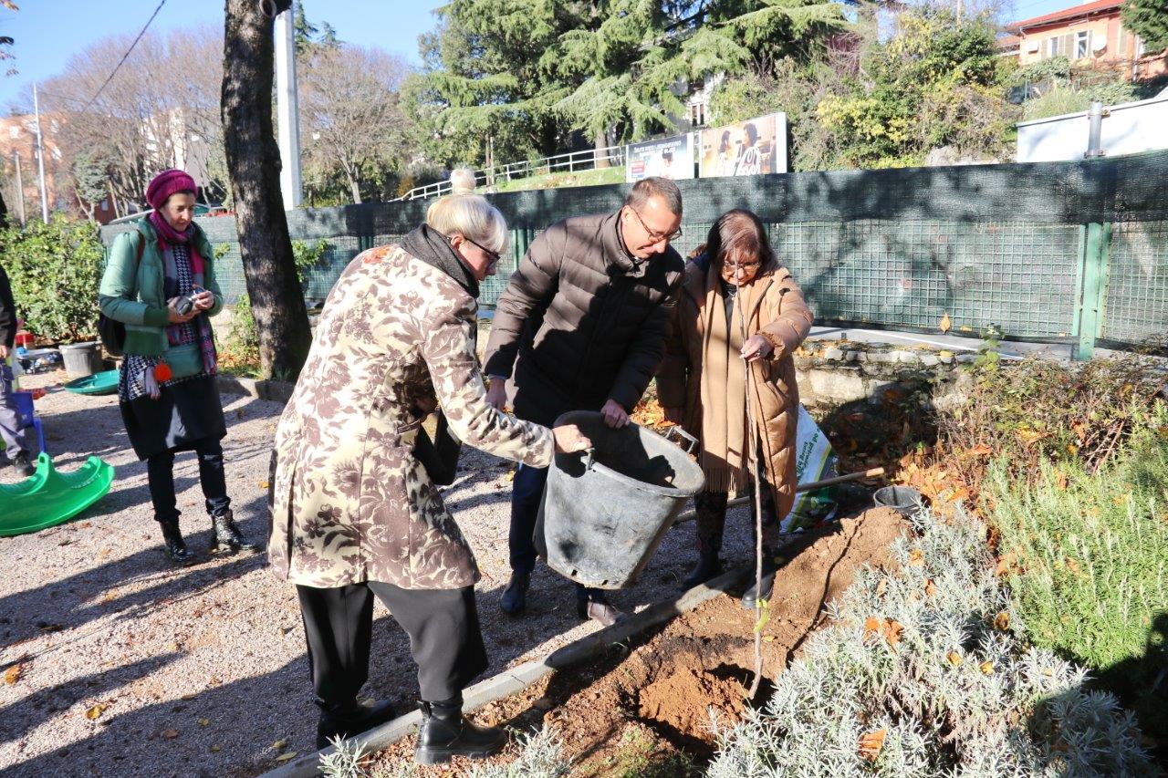 Zasadi-drvo-ne-budi-panj_sadnja-stabala-u-DV-Baredice-8 Zasadi-drvo-ne-budi-panj_sadnja-stabala-u-DV-Baredice-8