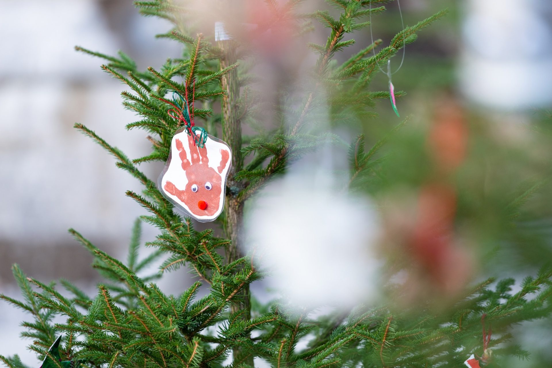 kastav advent (8)