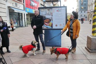 Izložba-Udomi-pravu-ljubav-6 Izložba-Udomi-pravu-ljubav-6