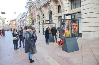 Izložba-Udomi-pravu-ljubav-9 Izložba-Udomi-pravu-ljubav-9