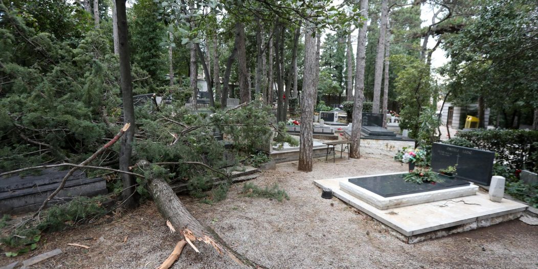 Olujna bura srušila čemprese i oštetila groblje Trsat Olujna bura srušila čemprese i oštetila groblje Trsat