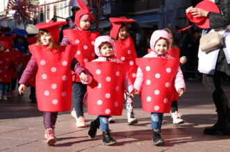 IMG_2655 IMG_2655
