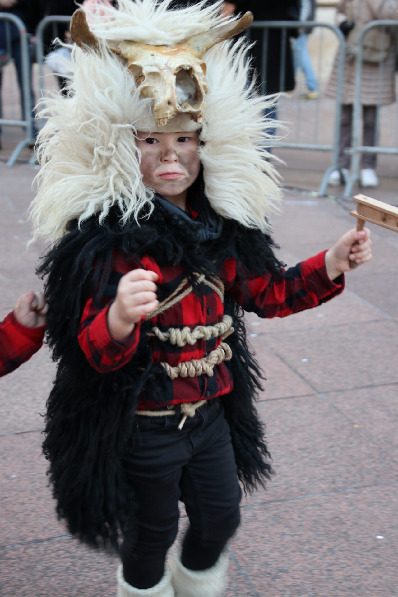 IMG_2993 IMG_2993