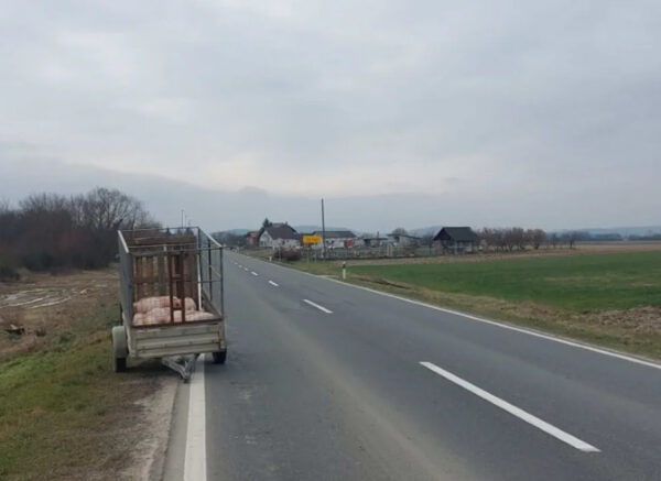 PRASCI SLATINA