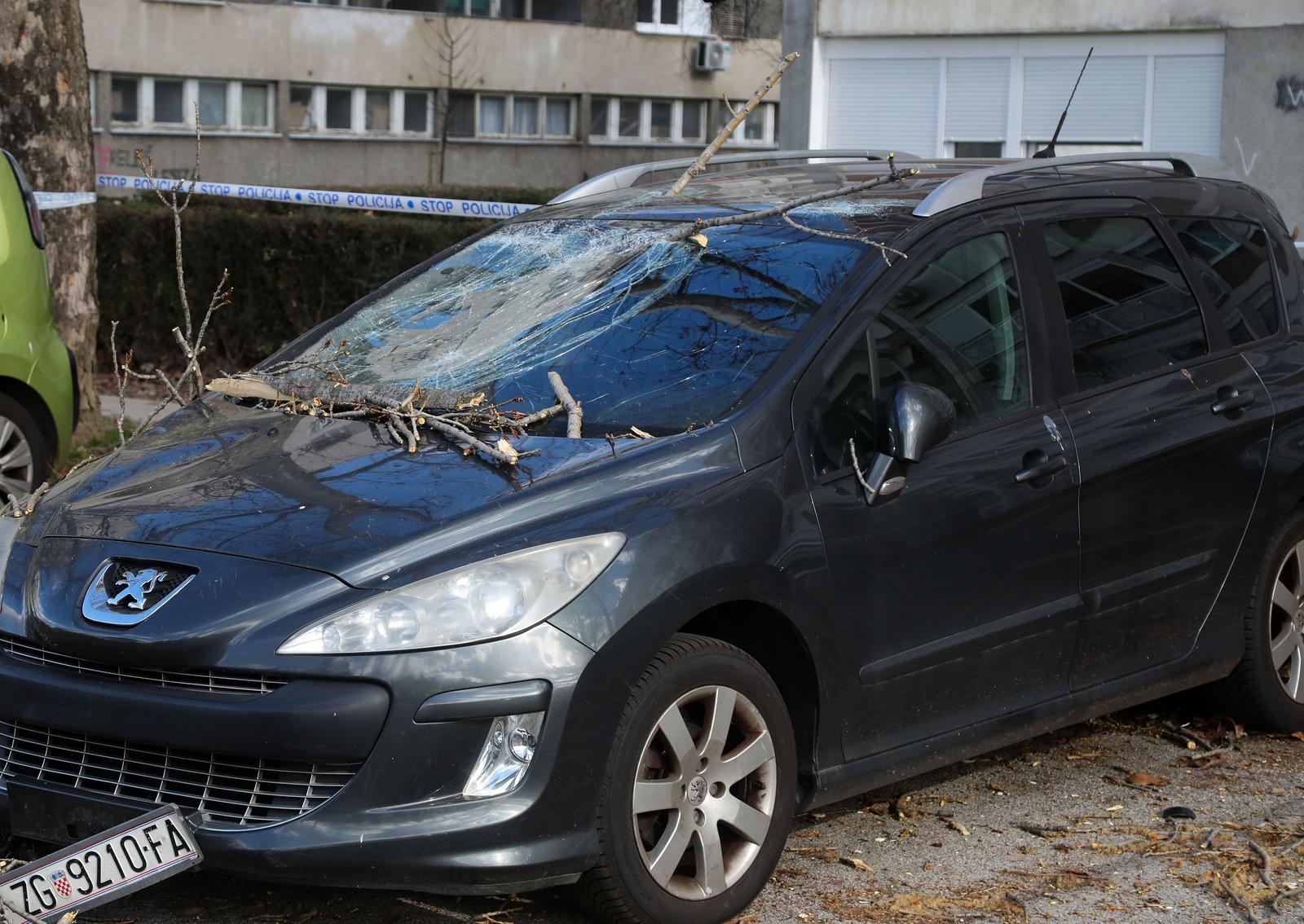Zagreb: Vjetar srušio stablo jablana, oštećeno više automobila
