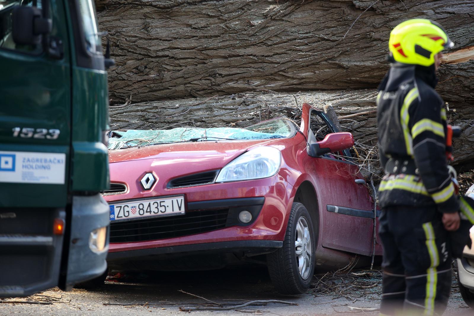 Zagreb: Vjetar srušio stablo jablana, oštećeno više automobila
