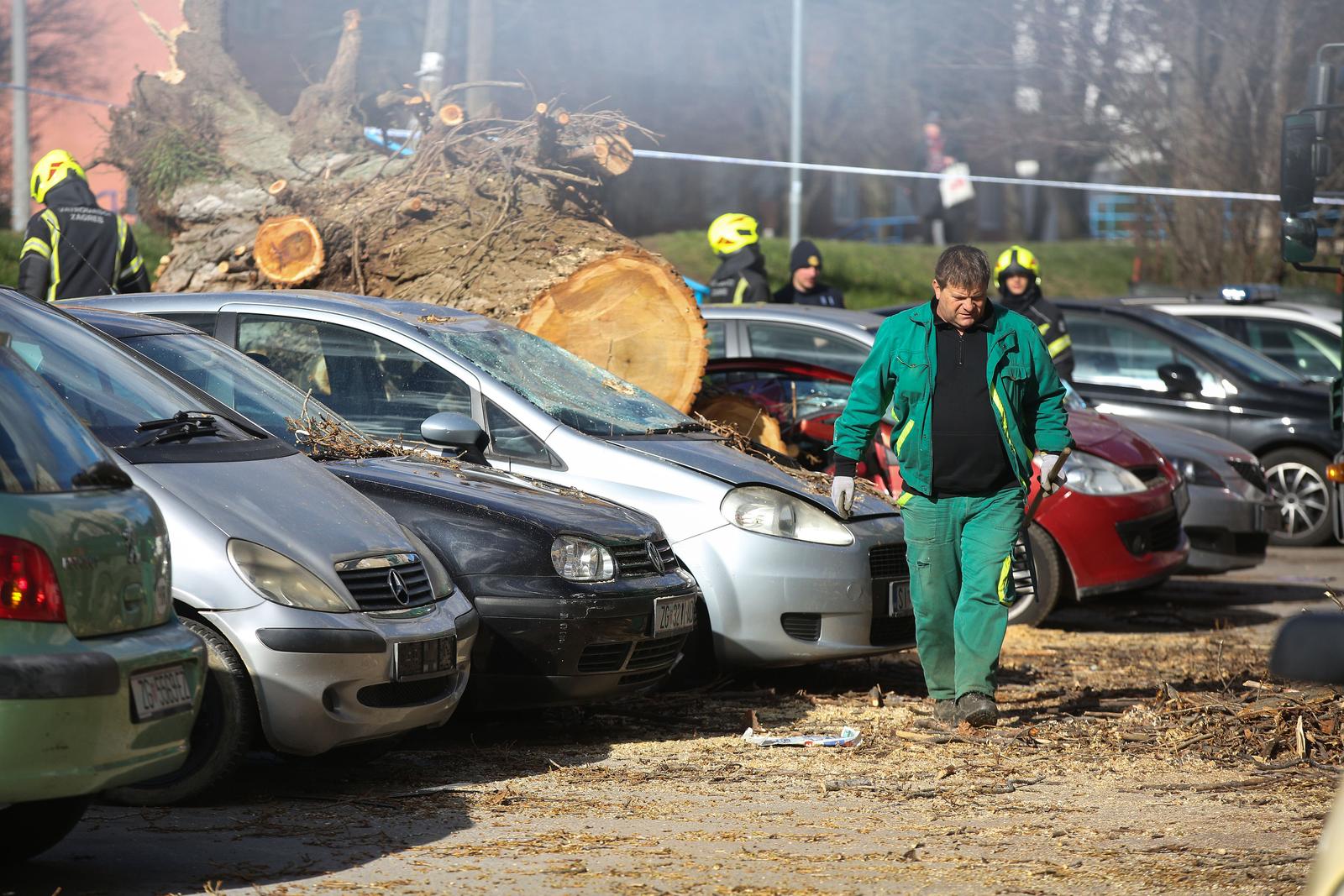 Zagreb: Vjetar srušio stablo jablana, oštećeno više automobila