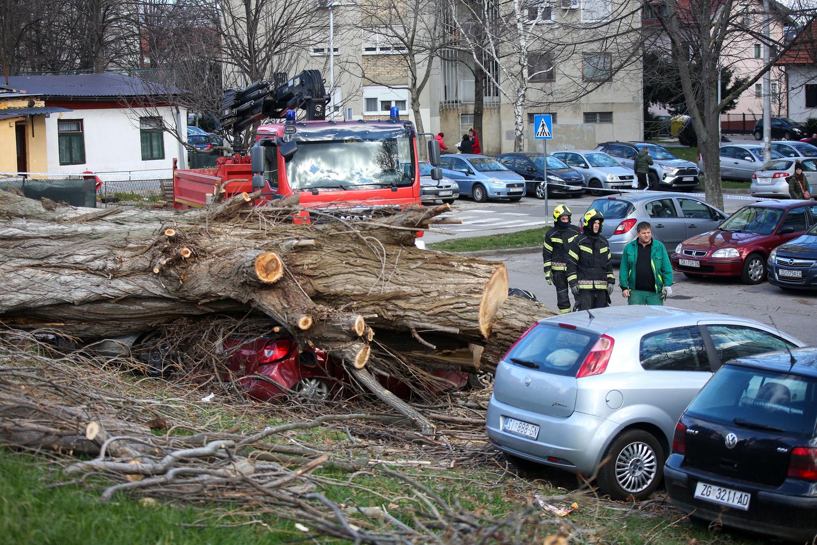 Zagreb: Vjetar srušio stablo jablana, oštećeno više automobila