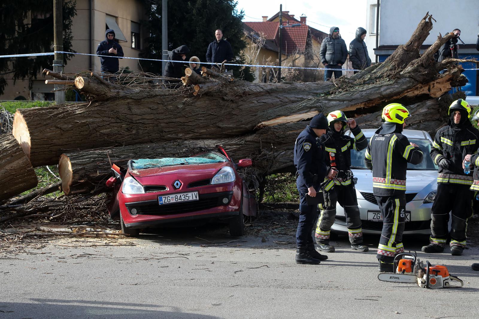 Zagreb: Vjetar srušio stablo jablana, oštećeno više automobila