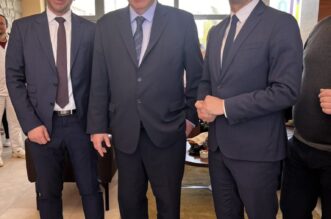 rab insula (25) rab insula (25)