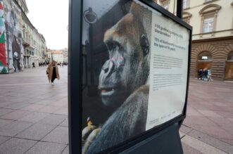 Rijeka: Na Korzu postavljena izložba “Volim grad kojim ne teče smeće” Rijeka: Na Korzu postavljena izložba “Volim grad kojim ne teče smeće”