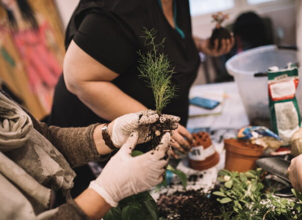 Startup-Green-radionica-izrade-kokedama