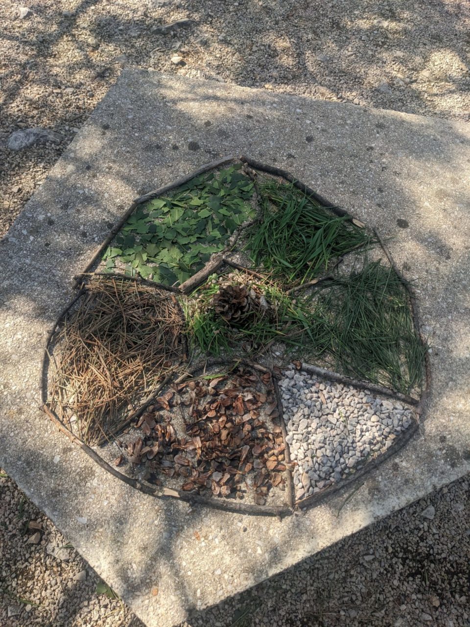 park suma sveti kriz akcija ciscenja (10)