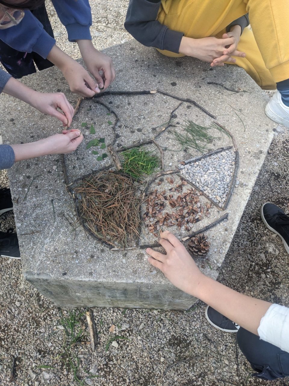 park suma sveti kriz akcija ciscenja (6)