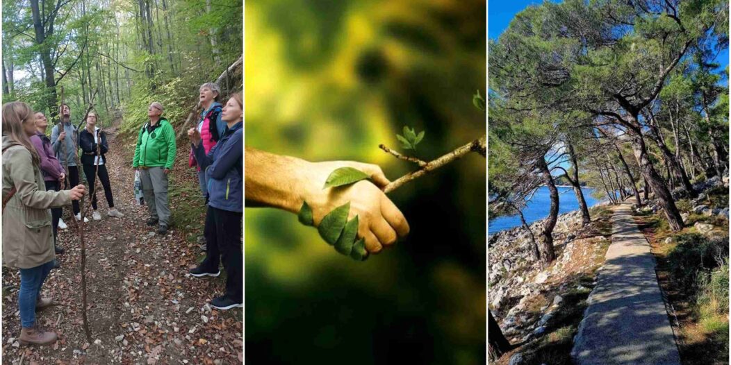 šuma šetnja lošinj naslovna šuma šetnja lošinj naslovna